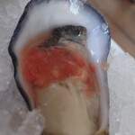 Trattoria Da KENZO - 