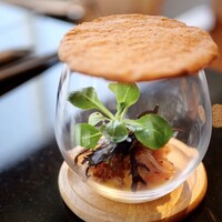 田丸 別館 - 桜エビのグラスサラダ