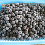 今年もとったどぉー