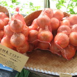 そらふぁブルーベリーガーデン - たまねぎお土産に帰りました