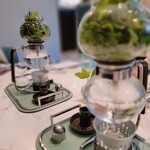 Galerie ASAHINA - ハーブティーのプレゼンテーション