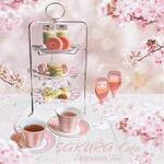tea room KANKO - SAKURA Cafe Afternoon Tea