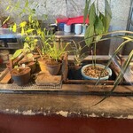 羅豚 ギンザ・グラッセ - 