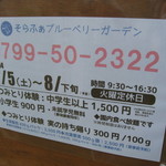 そらふぁブルーベリーガーデン - 