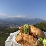 ケンタッキーフライドチキン - 料理写真: