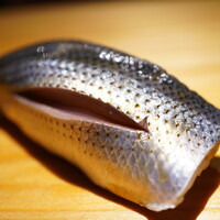 佐野鮨 - シャリの酸味と酢〆の酸味が食感で心地よく合致させ、噛むほどに強かな旨味へと変貌させる。 粋な味の相乗を存分に味わえる握り。