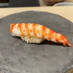 鮨　いの - 車海老（鮨 いの）2024.10