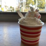 手作りジェラート ファーレ - 料理写真: