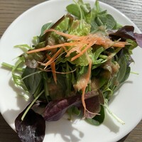 COLONIAL BEACH 横浜ハンマーヘッド - 