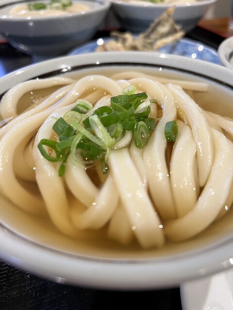 江の島どん★4 Shonan Udon Tanuya - Hon Kugenuma/Udon (Wheat noodles) | Tabelog