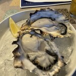 PIZZERIA IL VICOLO - 