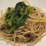 べヴィトーレ - 