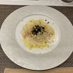 ヤマガタ0035 アル・ケッチァーノ コンチェルト - 