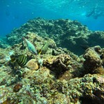 オーベルジュ・ボヌシェール・ラウー - 初めてのダイビングでした！