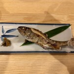 吉田屋 美濃錦 - 