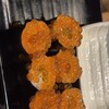旨唐揚げと居酒メシ ミライザカ - 