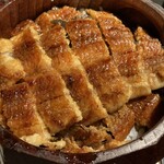 炭焼きうなぎ・かしわ 登河 - 