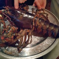 ウルフギャング・ステーキハウス 丸の内店 - 