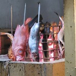 原始焼 日本酒 雨のち晴レルヤ。 - 