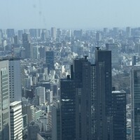 土佐料理 祢保希 新宿店 - 