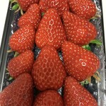 優芽いちご園 - キラキラ〜✨美しい♡