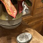 ノストラーノ - 