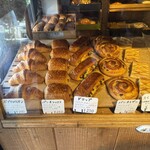 サルドゥバン - ショーケース① 3/2025