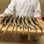 徳ㇵ本也 - 巨大鰯です。蛍烏賊を沢山食べて育ったそうです。