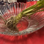 赤坂 四川飯店 - 