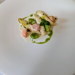 アルテリーベ - 