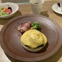 SCALAE - 