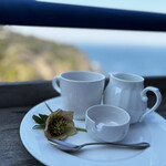 サドルバック - 