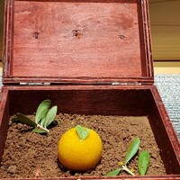 しまなみふれんち Murakami - 