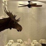 マーメイド コーヒー ロースターズ - 