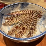 日本料理 別府 廣門 - 車海老（大分県佐伯梶寄産）