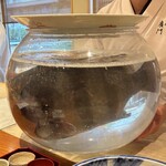 日本料理 別府 廣門 - 石鯛（大分県佐伯梶寄産）