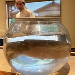 日本料理 別府 廣門 - 紋甲烏賊（大分県佐伯梶寄産）