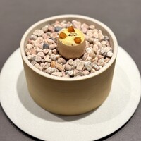 CIRPAS - 