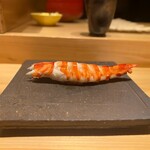 鮨処 池上 - 車海老