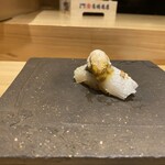 鮨処 池上 - アオリイカと北海道の紫雲丹