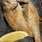 いたる 香林坊店 - 