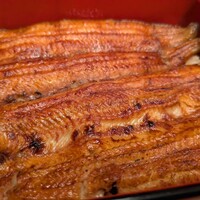鰻割烹 伊豆栄 本店 - 