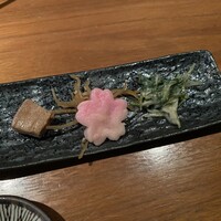 KOiBUMi - 