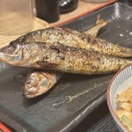 一夜干しと海鮮丼 できたて屋 KITTE丸の内店 - 
