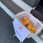 喫茶アンフィニ - 今日はお蜜柑が配られていました^ - ^