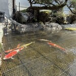 いろり料理 菊日和 - 