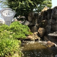 レストラン 香松 - 一階池