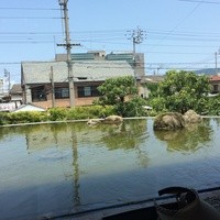 レストラン 香松 - 室内から