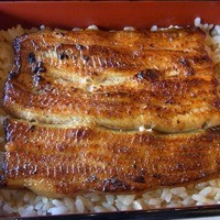 鰻割烹 伊豆栄 本店 - 
