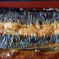 鰻割烹 伊豆栄 本店 - 裏側